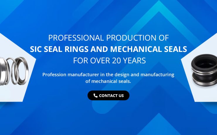 China mechanical seals