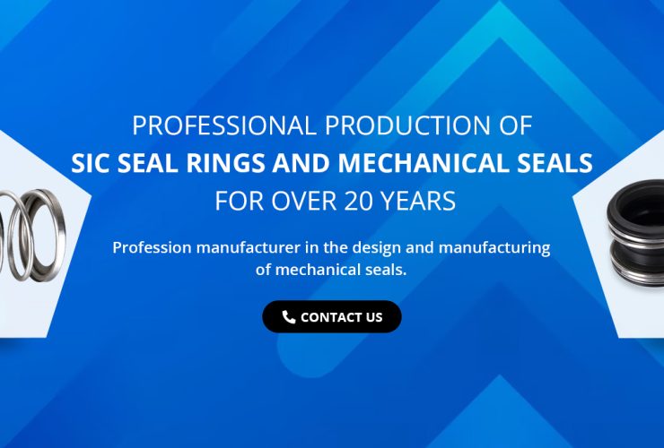 China mechanical seals