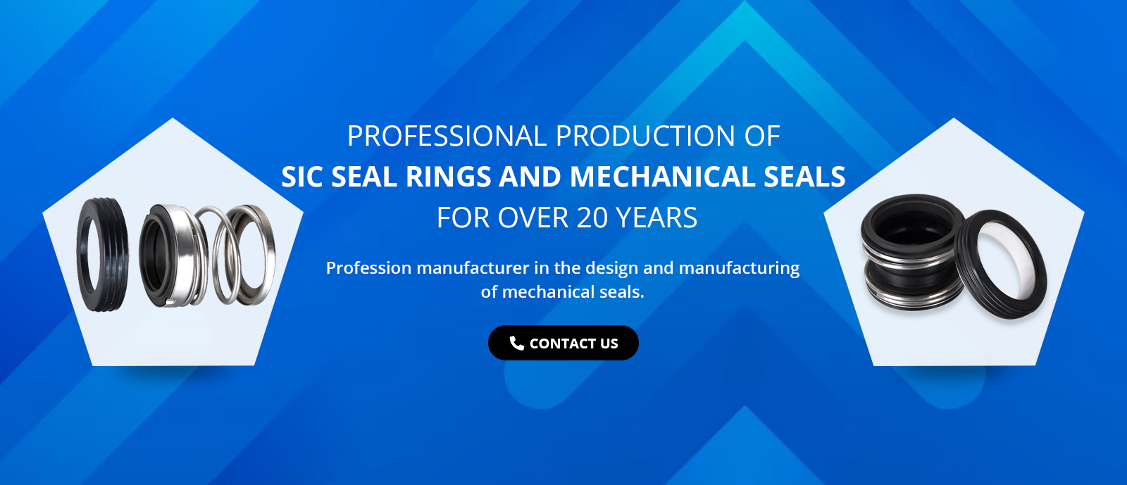 China mechanical seals